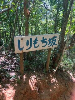 どんぐりの木があるという尻もち坂