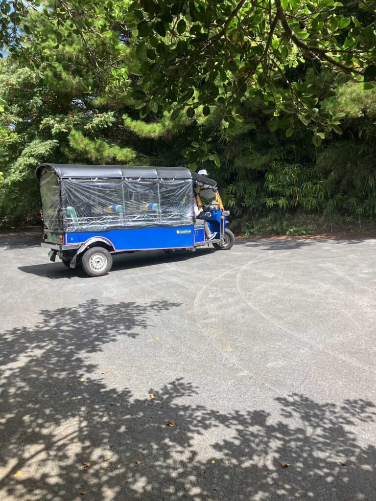 トレッキングの送迎車。テーマパークのようでワクワクいっぱいになります。